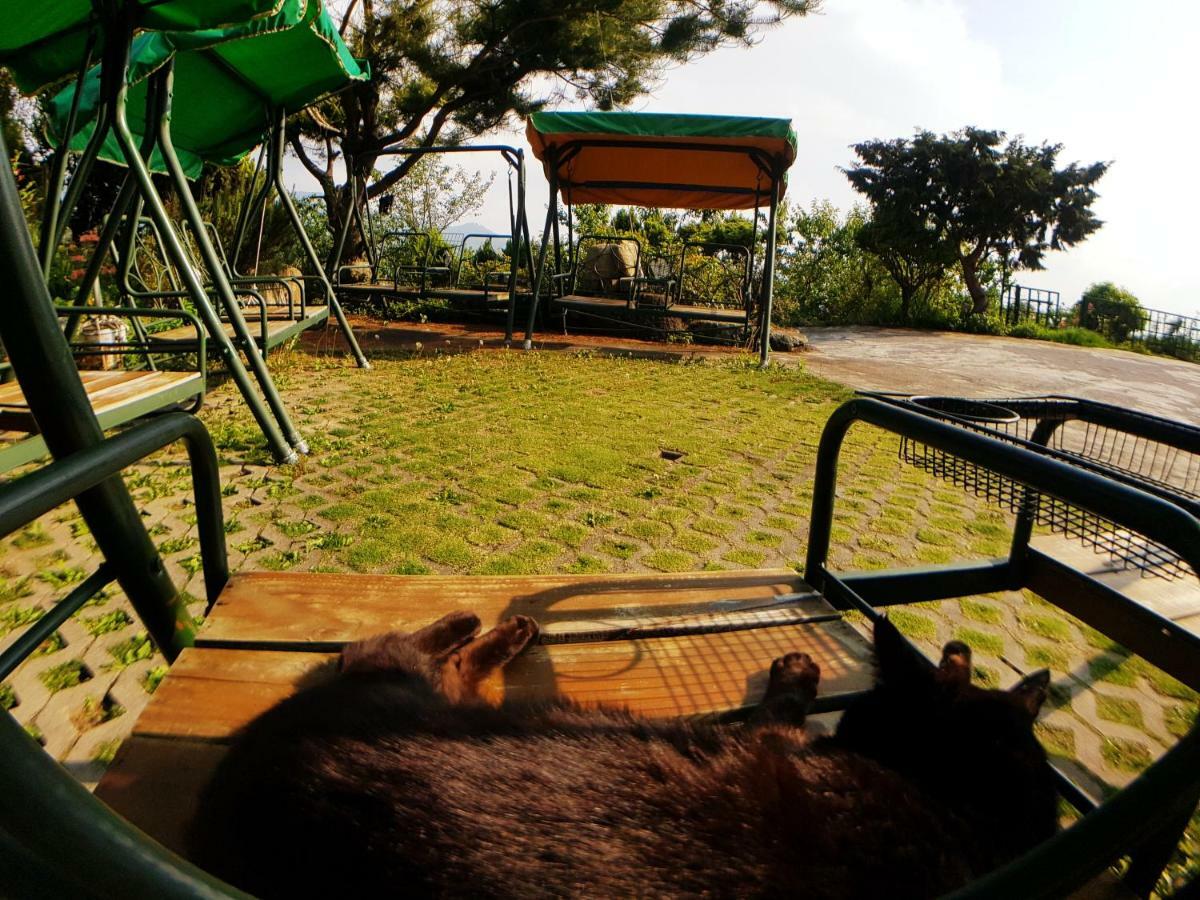 Shan Shui-Yuan Vege Guest House Renai Εξωτερικό φωτογραφία